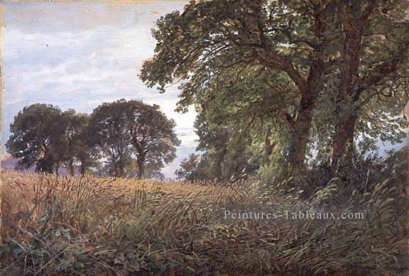 Tennysons Farm Farmington Île de Wight SMG William Trost Richards paysage Peintures à l'huile